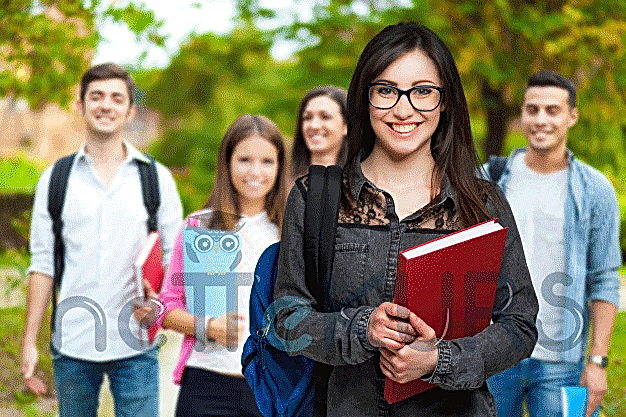 2018 dgs puan hesaplama, dgs puan hesaplama 2018