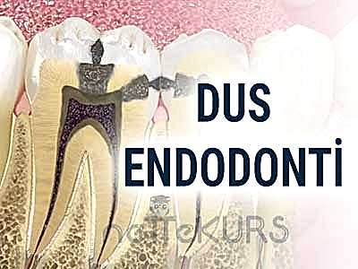 DUS Endodonti Dersleri
