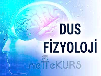 DUS Fizyoloji Dersleri