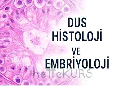 DUS Histoloji ve Embriyoloji Dersleri