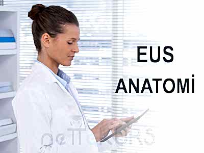 EUS Online Anatomi Dersleri
