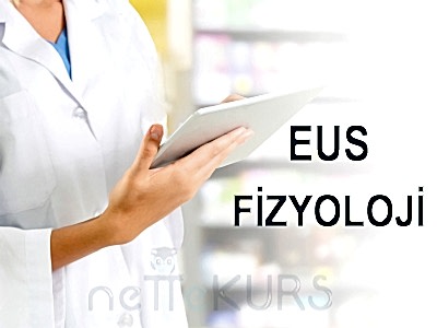 EUS Online Fizyoloji Dersleri