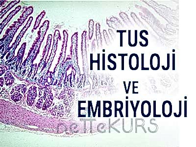 TUS Histoloji ve Embriyoloji Dersleri