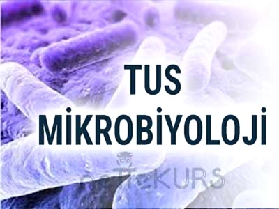 TUS Mikrobiyoloji Dersleri