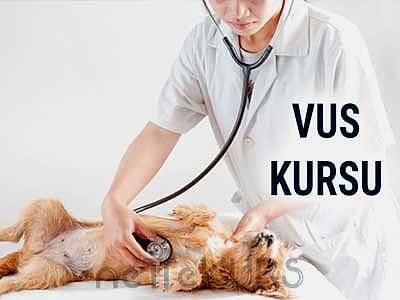 Online VUS Kursu